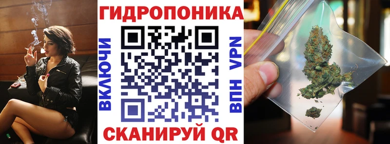 МАРИХУАНА гибрид  Чайковский 